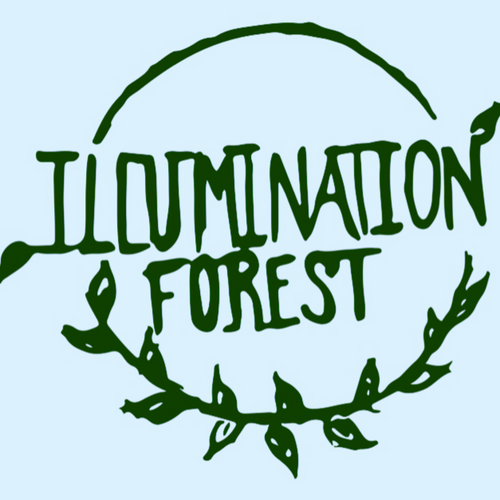 Illumination Forest